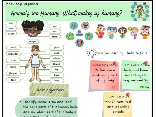 Year 1 Science Knowledge Organisers - editable