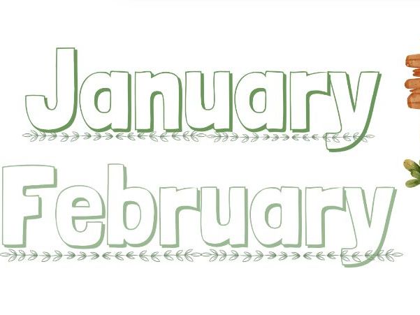 Birthday display Botanical theme