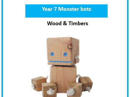Year 7 Robo bots