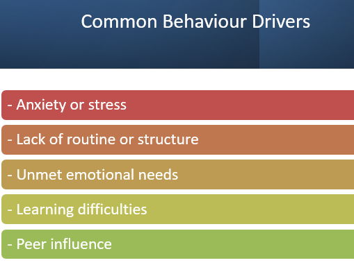 Improving Behaviour in Primary Schools