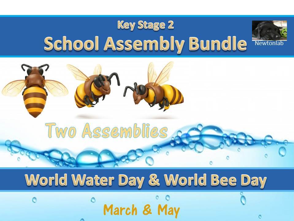 World Water Day World Bee Day Assembly Bundle Key Stage 2 Teaching Resources