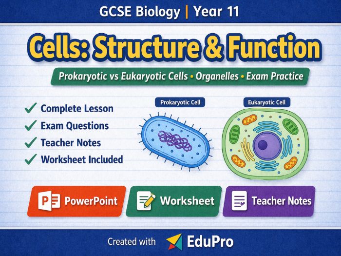GCSE Biology Cells Lesson Pack | Prokaryotic vs Eukaryotic Cells | Organelles & Functions | Exam Que