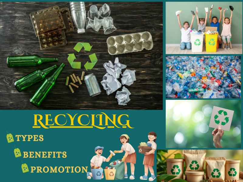 Recycling and Its Environmental Impact: Reading Comprehension – Fun, Interactive & Ready-to-Print