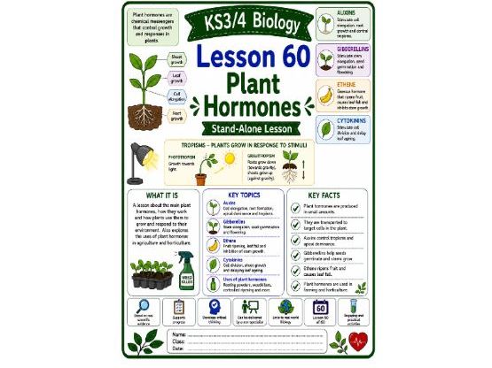 Plant hormones cover lesson (L60) Biology
