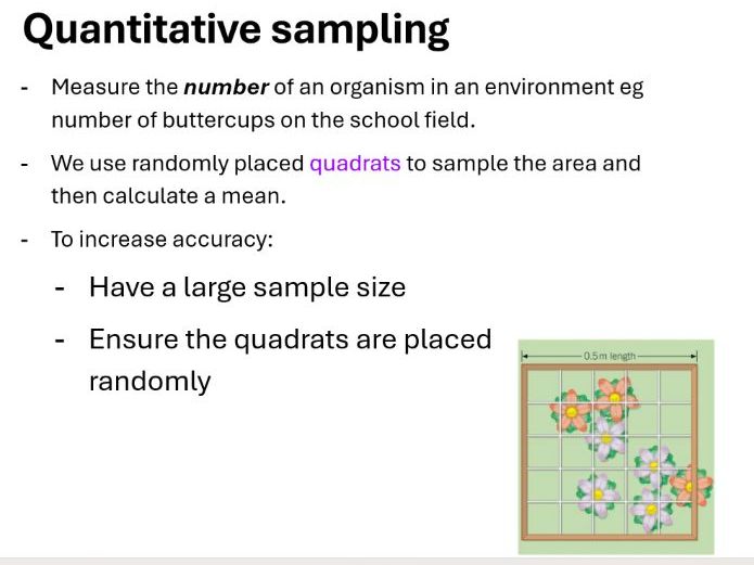B7 Ecology - L4 Quadrats Required Practical