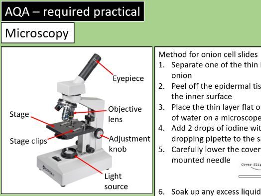 AQA Required Practical Microscopy Teaching Resources