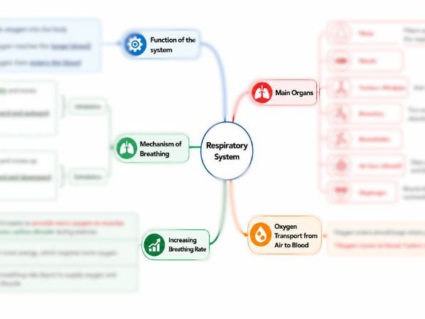 Cambridge Primary Science 6: 1.2 The Respiratory System Mind Map