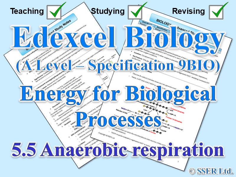 BIOA_EDX Topic Notes: 5.5 Anaerobic respiration