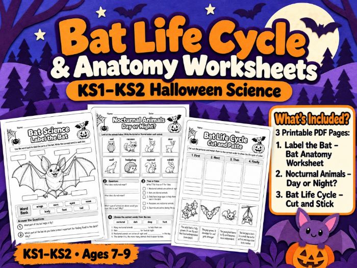 Bat Life Cycle & Anatomy Worksheets | Nocturnal Animals | KS2 Halloween Science Başlığı kopyala