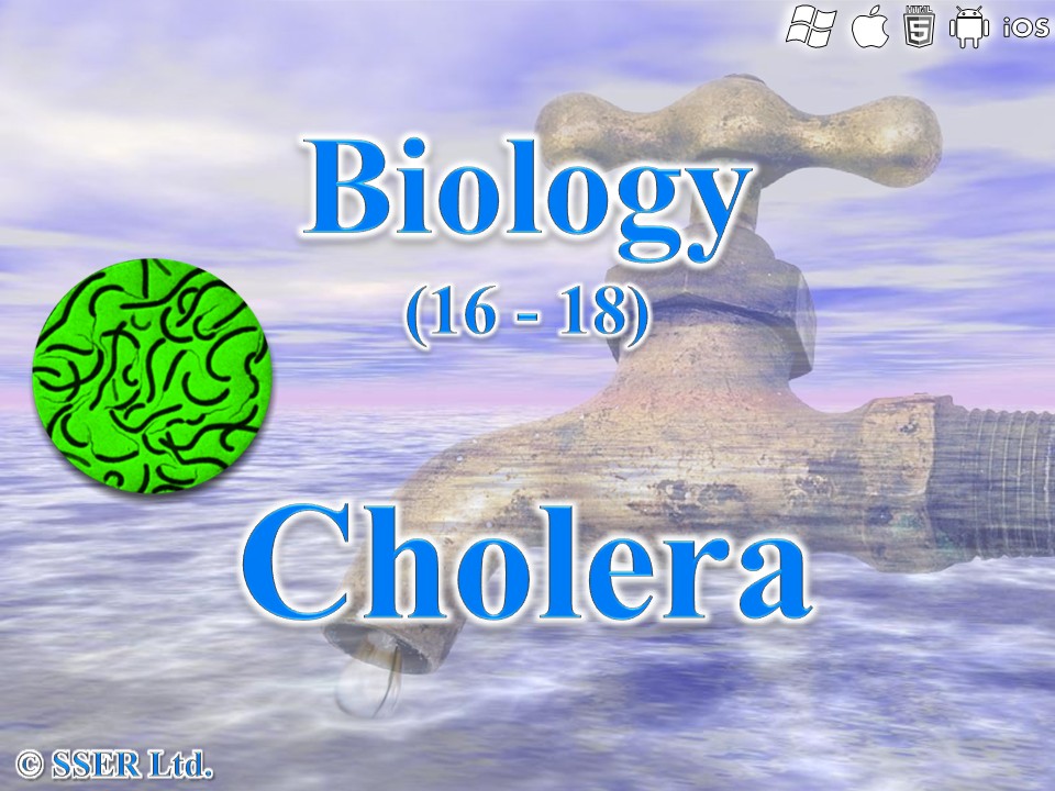 BioA_3.3.3 Digestion 3b - Cholera