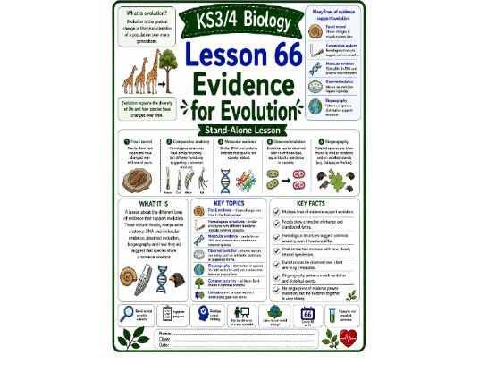Evidence for evolution cover lesson (L66) Biology