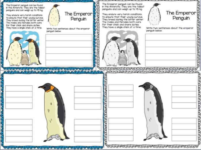 Homework help with emperor penguin