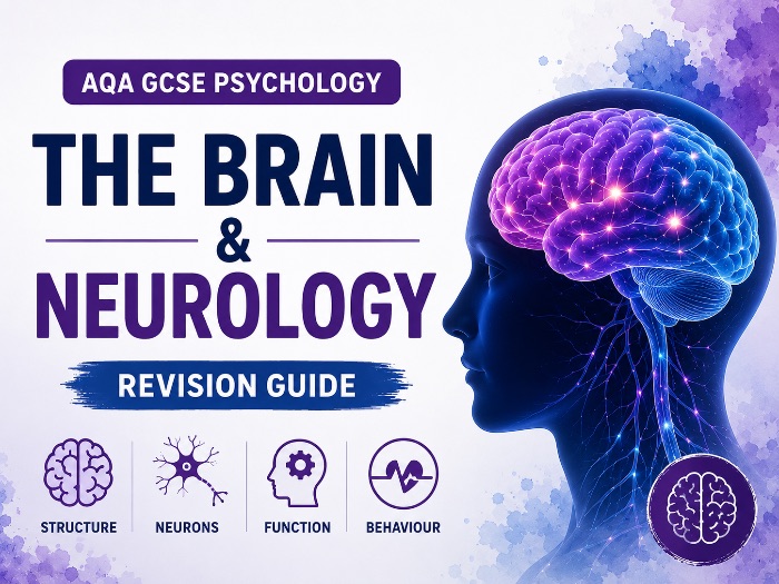 AQA GCSE Psychology: Brain and Neuropsychology