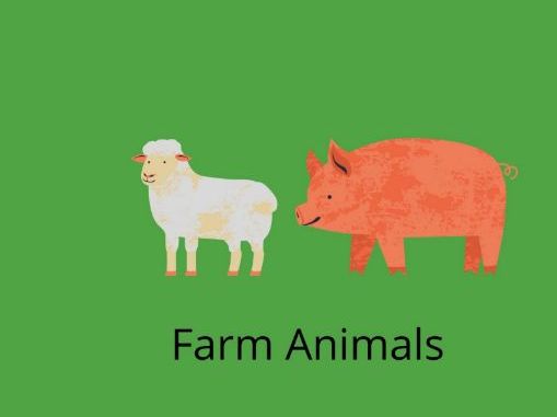 Farm Animals Counting-Worksheet