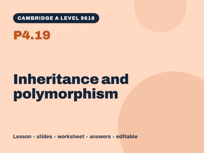 Cambridge A Level Computer Science 9618 – P4.19 Inheritance and polymorphism – Lesson & Worksheet