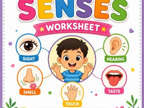 Free Five Senses Worksheet