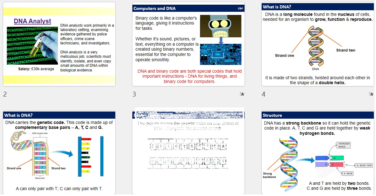 Structure of DNA - SEN/LAP | Teaching Resources