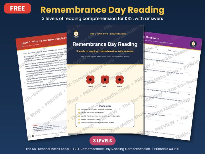 FREE Remembrance Day Reading Comprehension KS2 - 3 Levels with Answers