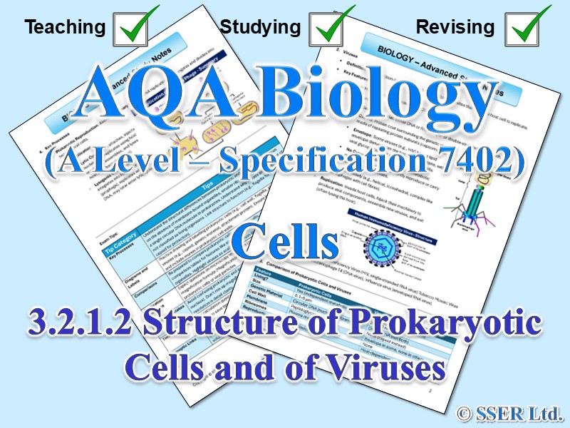 BIOA_AQA Topic Notes: 3.2.1.2 Structure of Prokaryotic Cells and of Viruses
