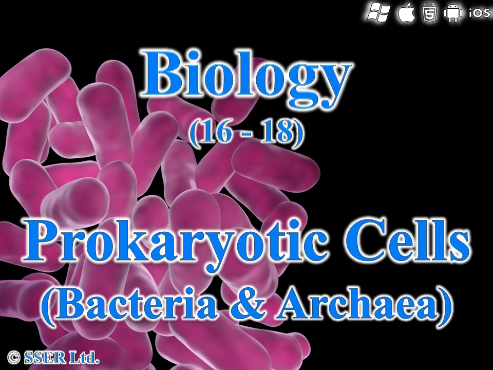 BioA_3.2.1.2 Prokaryotic Cells