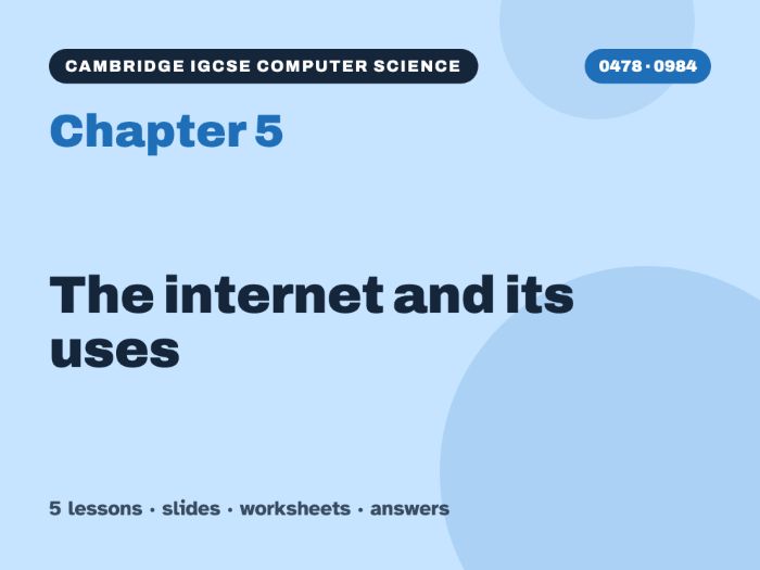 Cambridge IGCSE Computer Science (0478) Chapter 5: The internet and its uses – 5 lessons + worksheet