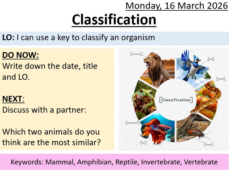 Classification - SEN/LAP