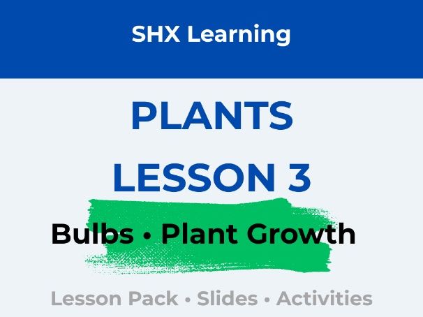 Year 2 Science: Plants | Lesson 3 | How Bulbs Grow into Plants