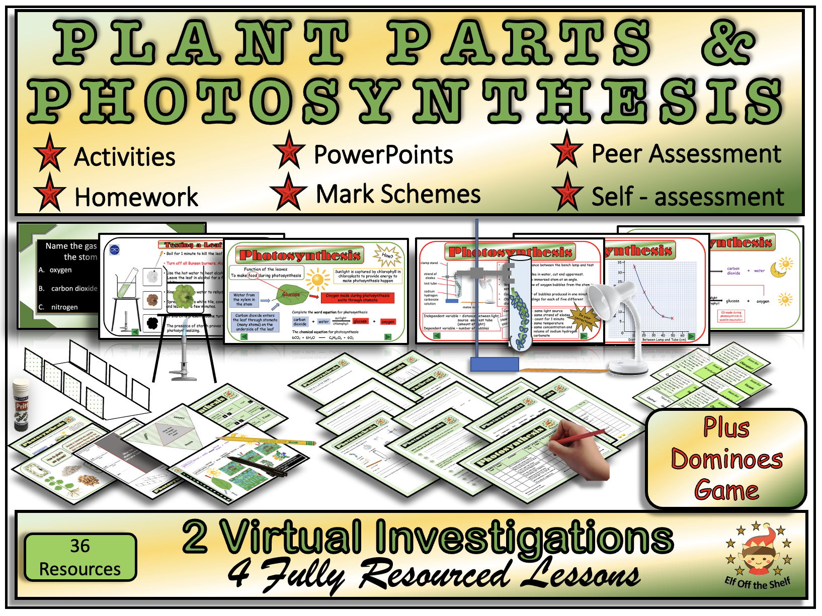 Plant Anatomy and Photosynthesis Explained 4 Fully Resourced Lessons Plus Dominoes Game KS3