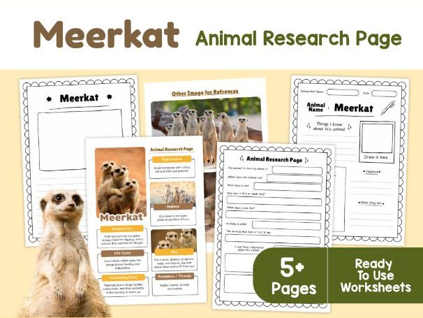Meerkat Animal Research Page | Habitat and Adaptations Worksheets