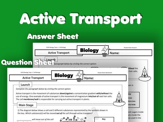 AQA GCSE Biology Active Transport Worksheet(Paper 1 Exam Questions)