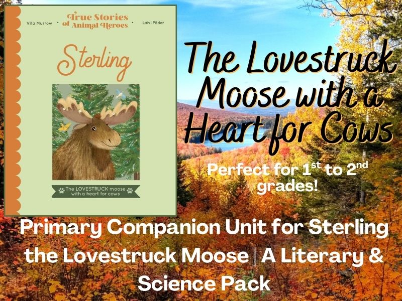 Sterling the Lovestruck Moose Companion Unit | Reading, Writing & Science