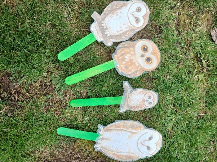 Owl stick puppet characters