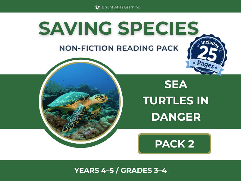 Sea Turtles in Danger Pack | KS2 | Y4–5