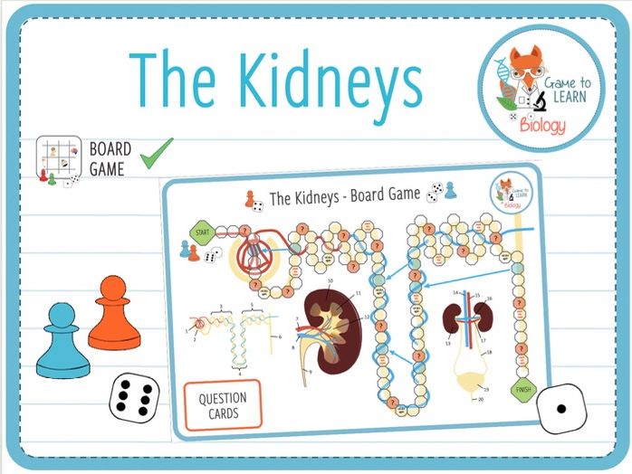 The Kidneys Board Game (KS4/5) Teaching Resources