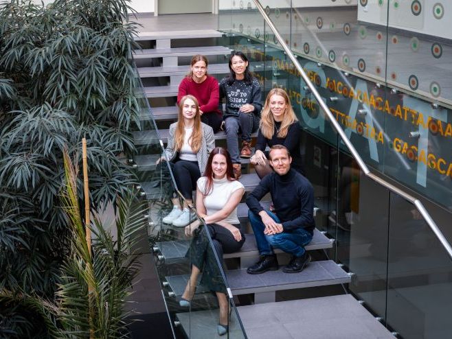 KS4 & KS5 Biology: Targeting senescent cells to promote healthy ageing