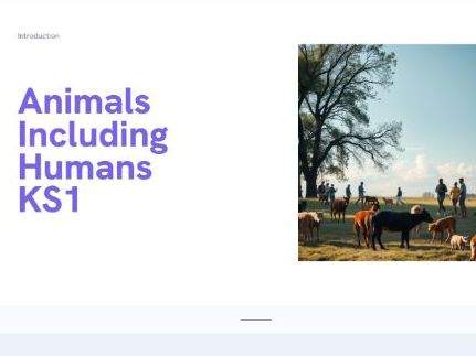 Animals Including Humans KS1 - Assembly/Lesson - Powerpoint