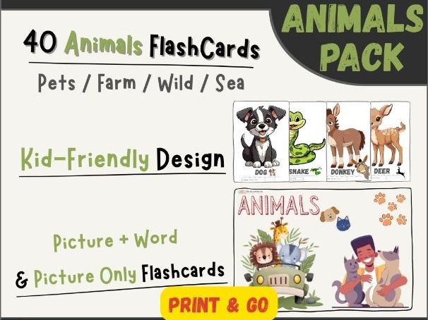 ESL Animals Flashcards | Vocabulary | Newcomers | Special Education | SPED/SEN