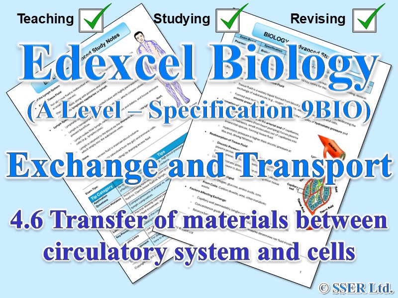 BIOA_EDX Topic Notes: 4.6 Transfer of materials between circulatory system and cells