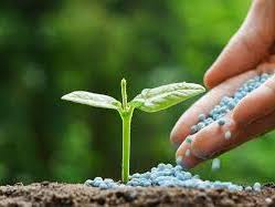 iGCSE Chemistry - Fertiliser