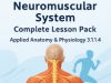 AQA A-Level PE | Neuromuscular System | Complete Lesson Pack | Applied Anatomy & Physiology 3.1.1.4