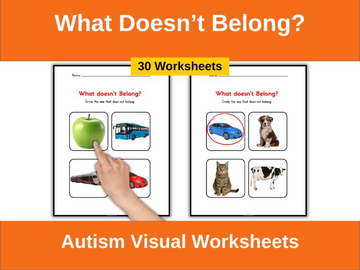 What Doesn’t Belong? Autism Worksheets