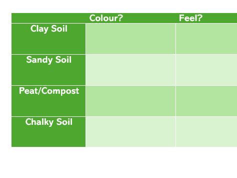 Science: Soil Observation Table