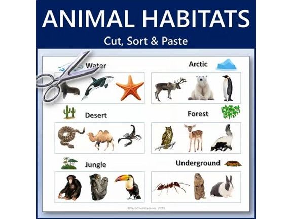 Animal Habitat Cut, Sort & Paste | Printable Worksheet Activity