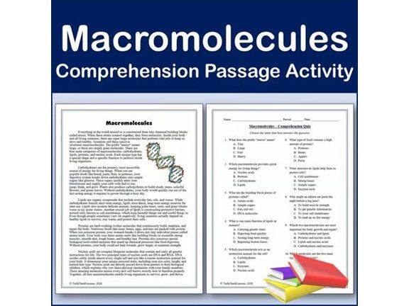 Macromolecules - Science Comprehension Passage & Activity
