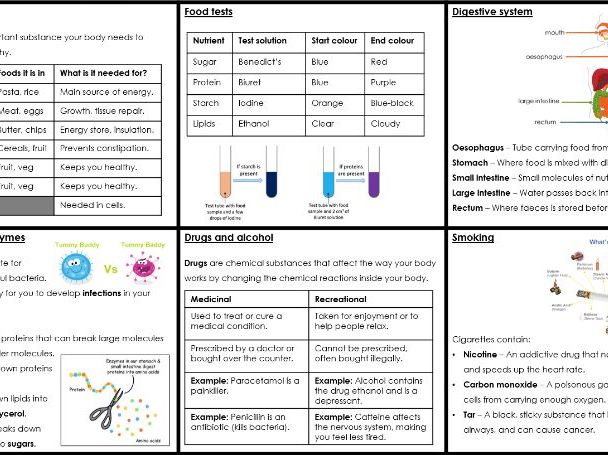 KS3 Activate 'Health and lifestyle' Knowledge Organiser