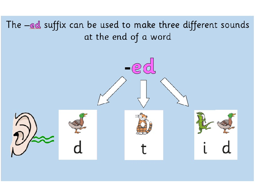 -ed suffix sounds for Reading and Spelling KS1
