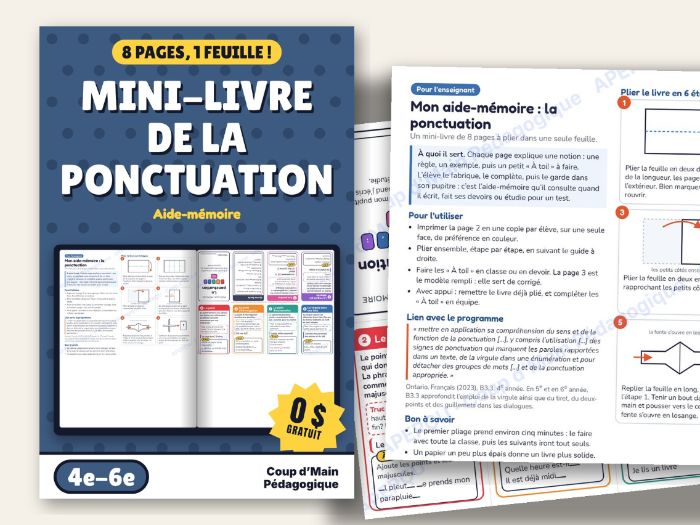 FREE French Punctuation Mini Book Grade 4-6 Foldable | Mini-livre