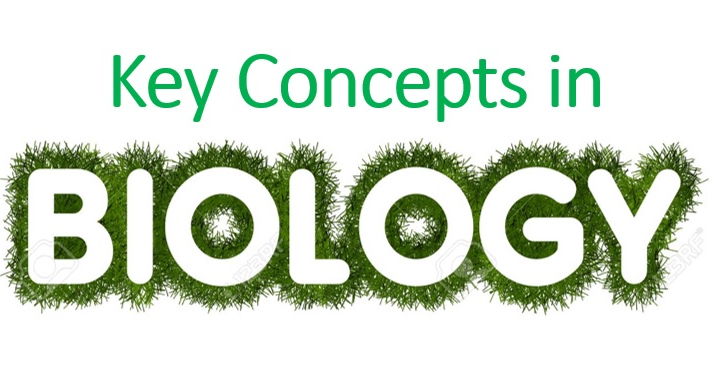 Key concepts in Biology, Topics 1-3 Edexcel Biology 9-1 (Cells, Microscopy and Enzymes)