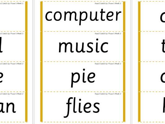Rapid Catch Up Phase 5 Week 2 (Supports Little Wandle)