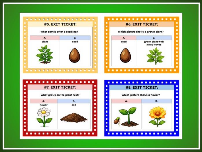 Plant Life Cycle Changes | Kindergarten Science | TEKS K.13C